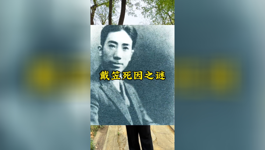 郑恺跑男断掉全勤是因为陪产,管家婆一码一肖2025年查询,全面解答解释落实_游戏版V1.33