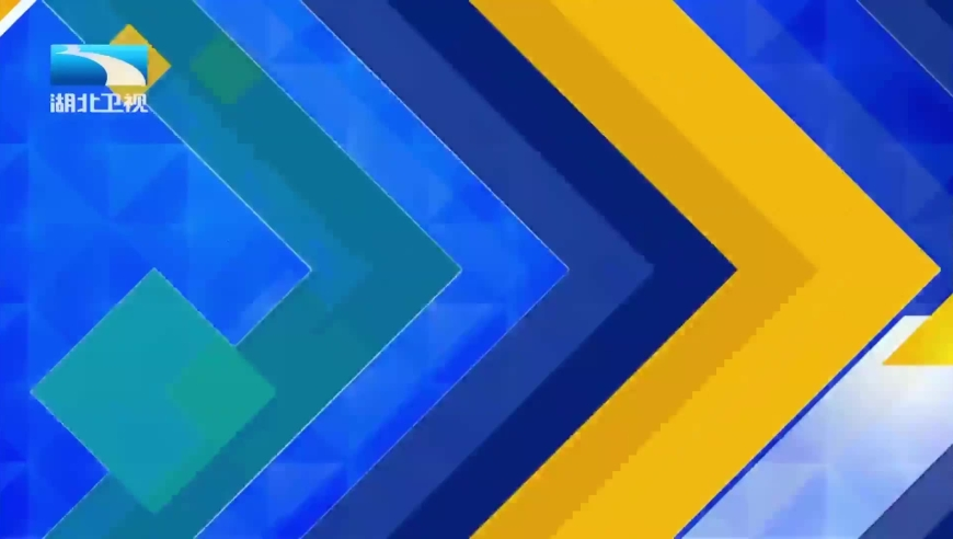 2025年今晚必出一肖一码,奥斯卡红毯,广泛的解释落实支持计划_钻石版V11.98